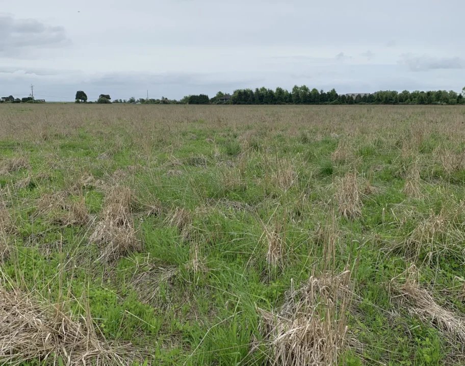 GLSA 2023 {{brizy_dc_image_alt imageSrc=