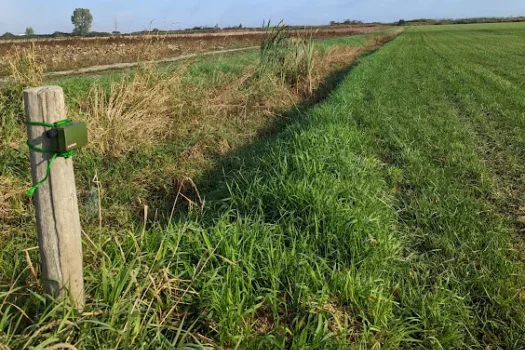 {{brizy_dc_image_alt imageSrc=