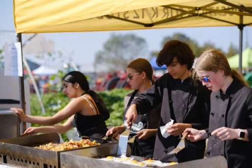 {{brizy_dc_image_alt imageSrc=