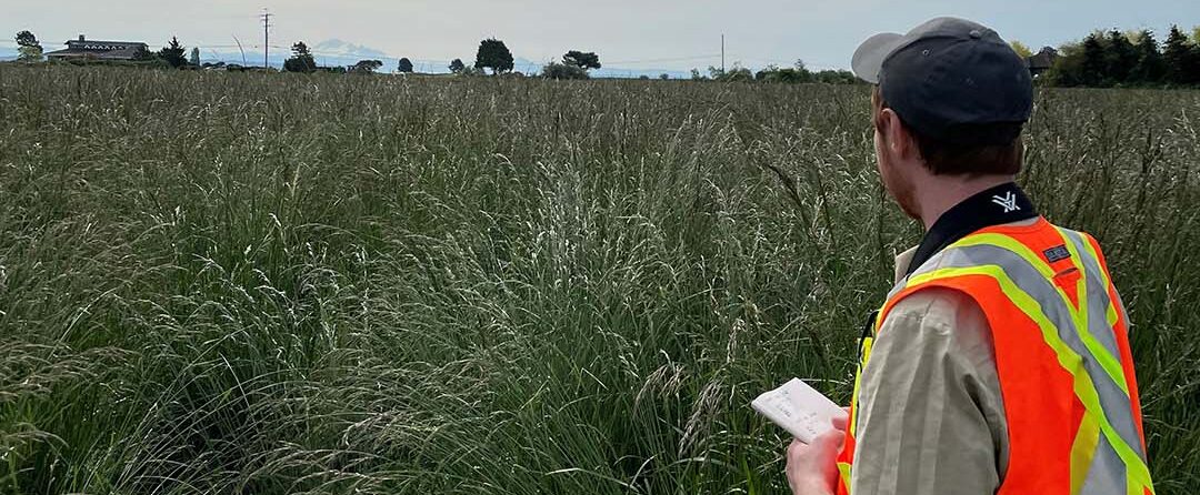 Delta Farmland - Field Technician at Work