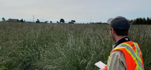 Delta Farmland - Field Technician at Work