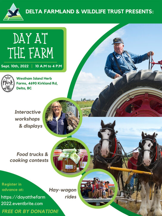 DATF- Day at the Farm - Poster