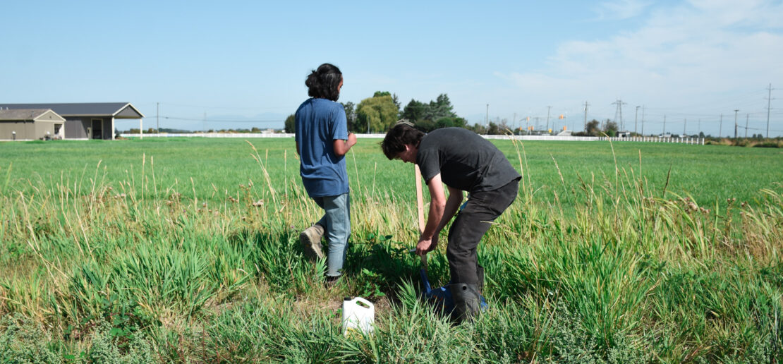 Delta Farmland - Working a field