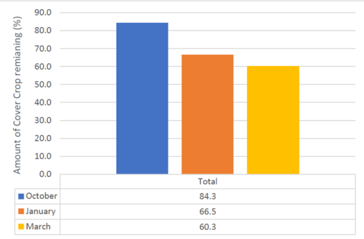 Waterfowl grazing rate of winter cove crops over winter 2021/2022. Amount of cover crops remaining: October 2021: 84.3% January 2022: 66.5% March 2022: 60.3%