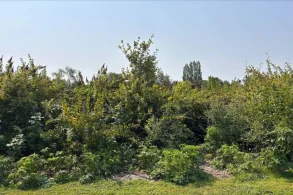 web1_delta-farmland-and-wildlife-trust-ag-section-2026